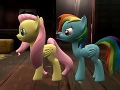 Rainbow Dash And Fluttershy Fart On Each Other