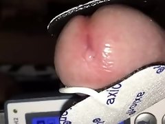 Elektrosex Sperma bereits im Precum vor dem Cumshot