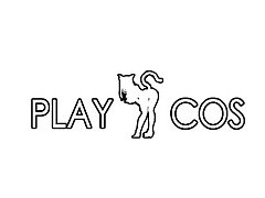 Ryuko Matoi Cosplay PlayCos