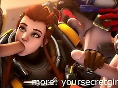 overwatch  brigitte