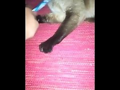 Hairy Pussy gets cleaned with vibrating toothbrush