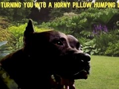 'Mesmerized to become My Pillow Humping Dog'
