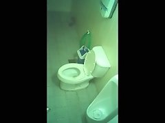 spy toilet