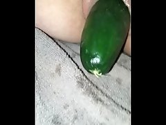 Fat tight pussy fucked with cucumber,holding it in, flexing pussy muscles